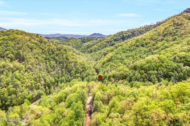 3178 N Clear Fork Rd, Sevierville, TN 37862 - property view of mountains featuring a wooded view