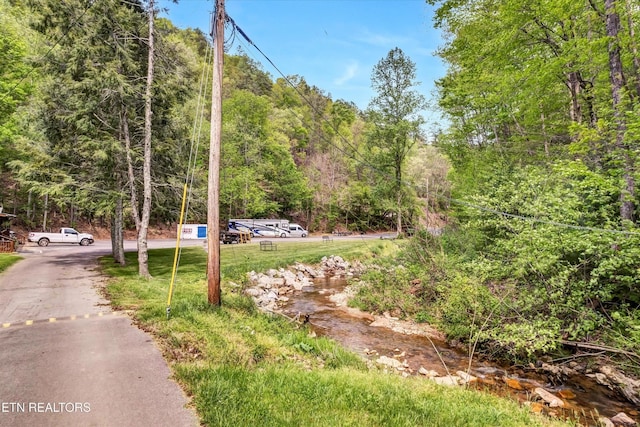 3178 N Clear Fork Rd, Sevierville, TN 37862 - view of road featuring a view of trees