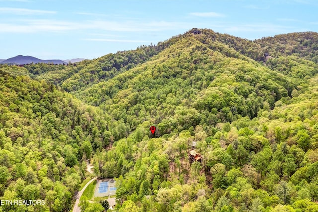 3178 N Clear Fork Rd, Sevierville, TN 37862 - property view of mountains featuring a view of trees