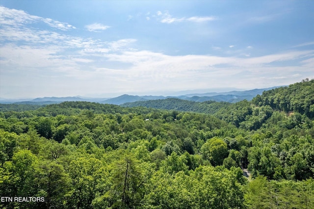 property view of mountains featuring a view of trees