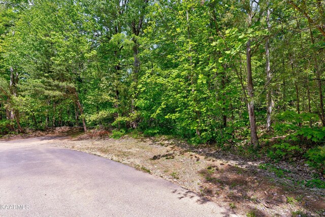 650 Silver Poplar Ln, Sevierville, TN 37876 - photo 4