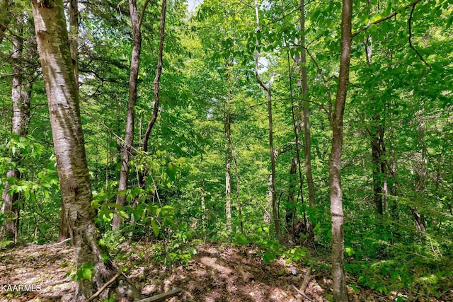 650 Silver Poplar Ln, Sevierville, TN 37876 - photo 5