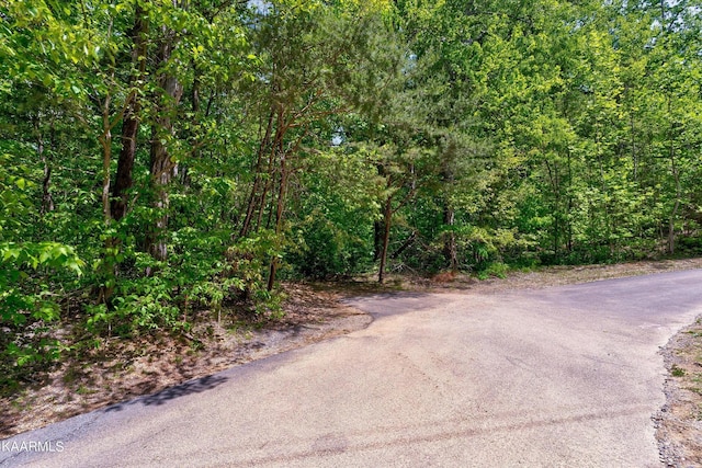 650 Silver Poplar Ln, Sevierville, TN 37876 - photo 3