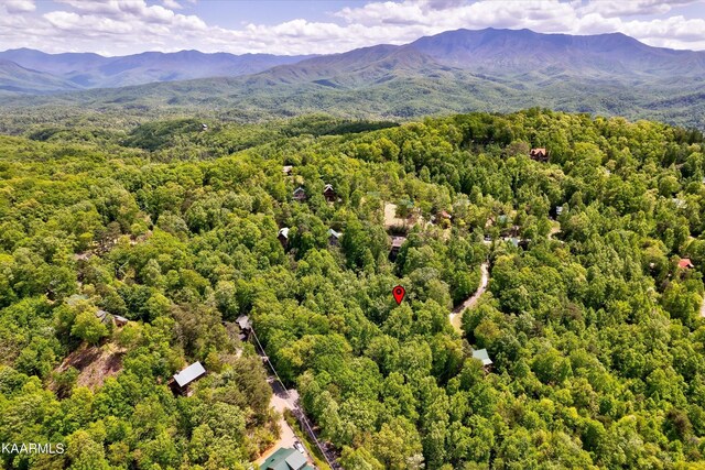 650 Silver Poplar Ln, Sevierville, TN 37876 - photo 6