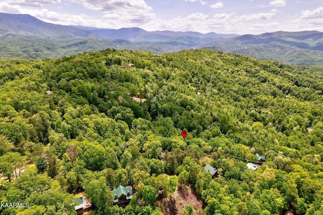 650 Silver Poplar Ln, Sevierville, TN 37876 - photo 11