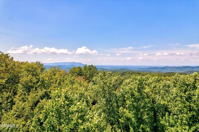 661 Battle Top Rd, Sevierville, TN 37876 - photo 13