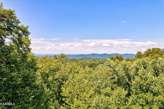 661 Battle Top Rd, Sevierville, TN 37876 - photo 11