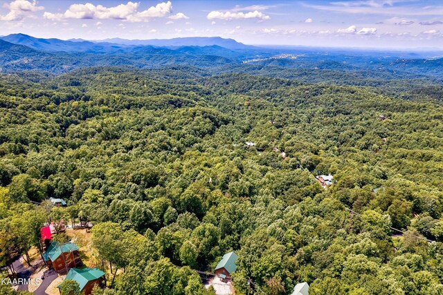 661 Battle Top Rd, Sevierville, TN 37876 - photo 16