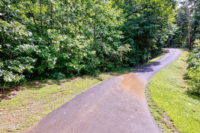 661 Battle Top Rd, Sevierville, TN 37876 - photo 8