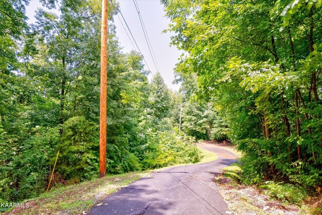 661 Battle Top Rd, Sevierville, TN 37876 - photo 9