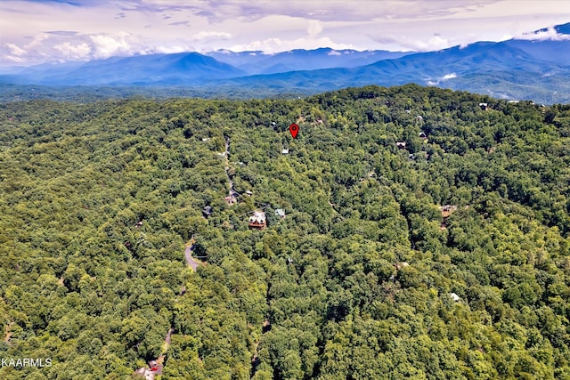661 Battle Top Rd, Sevierville, TN 37876 - photo 21