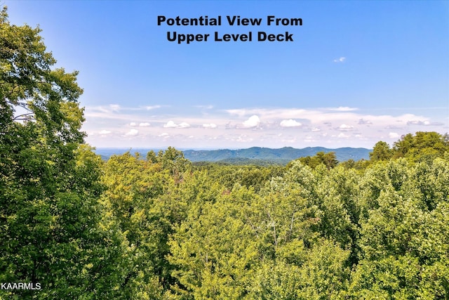 661 Battle Top Rd, Sevierville, TN 37876 - photo 10