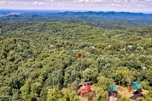 661 Battle Top Rd, Sevierville, TN 37876 - photo 17