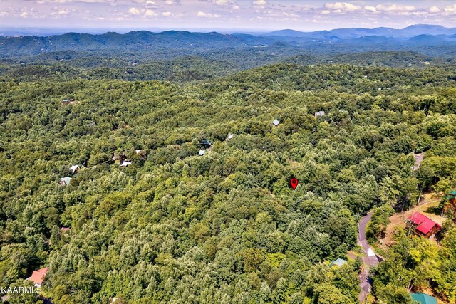 661 Battle Top Rd, Sevierville, TN 37876 - photo 18