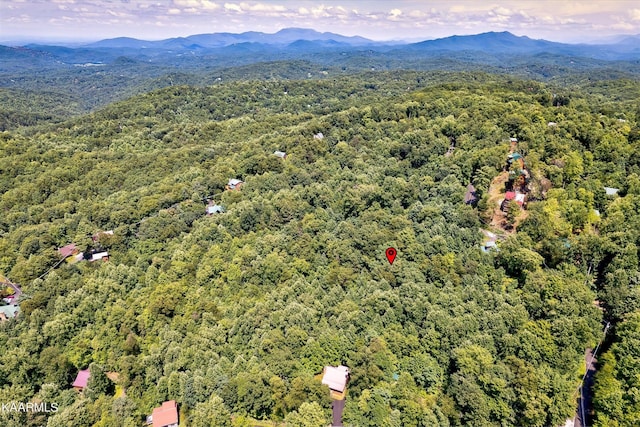 661 Battle Top Rd, Sevierville, TN 37876 - photo 19