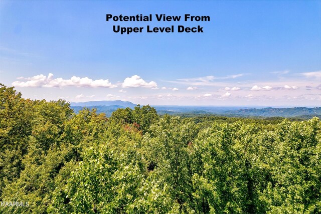 661 Battle Top Rd, Sevierville, TN 37876 - photo 12