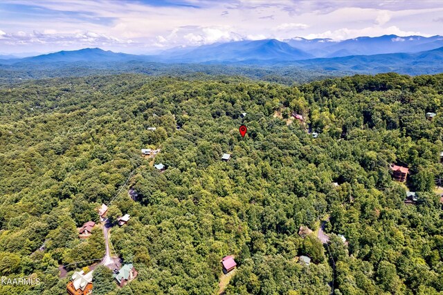 661 Battle Top Rd, Sevierville, TN 37876 - photo 20