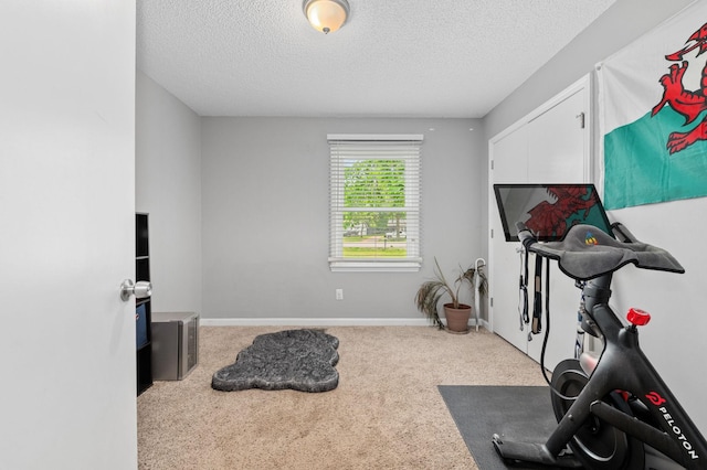 3295 Cimarron Trl, Murfreesboro, TN 37129 - workout room with a textured ceiling, baseboards, and carpet