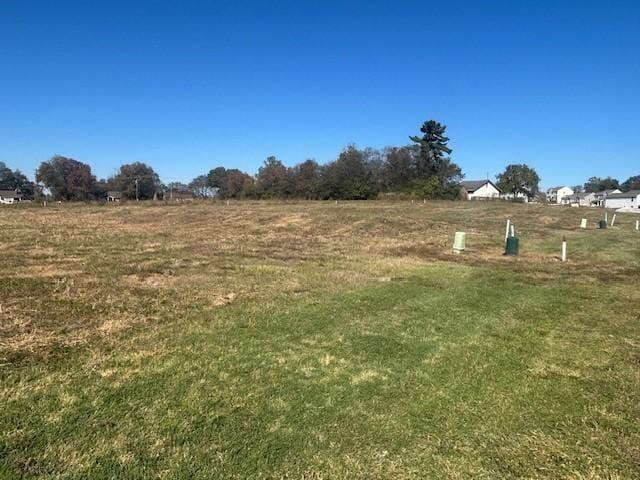 view of yard with a rural view
