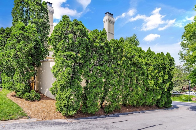 135 Abbottsford, Nashville, TN 37215 - photo 71