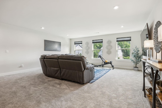 5017 Great Falls Ct, College Grove, TN 37046 - carpeted living area featuring baseboards and recessed lighting