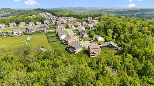 5017 Great Falls Ct, College Grove, TN 37046 - aerial view of residential area with a heavily wooded area