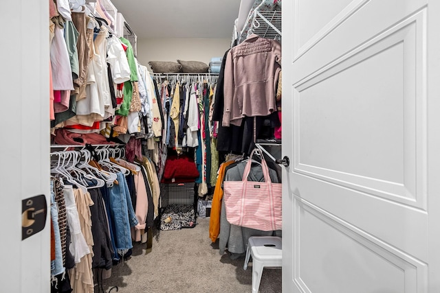 3420 Caroline Farms Dr, Murfreesboro, TN 37129 - spacious closet featuring carpet