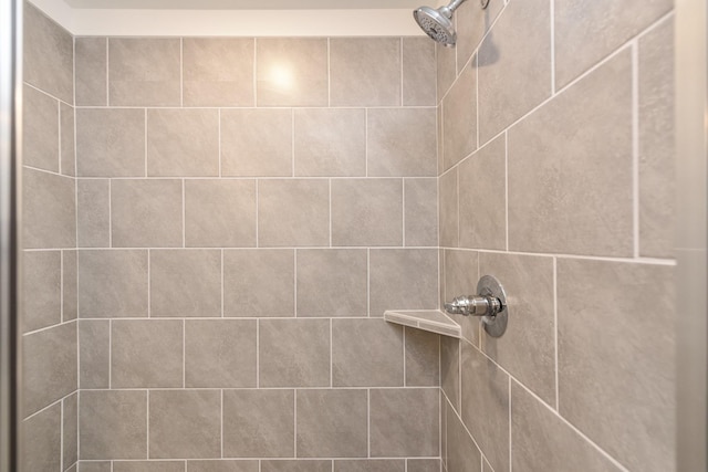 interior details featuring a tile shower