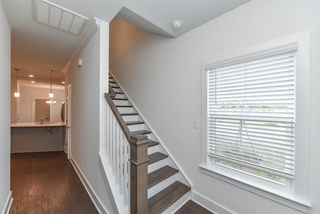 stairway with visible vents, baseboards, and wood finished floors