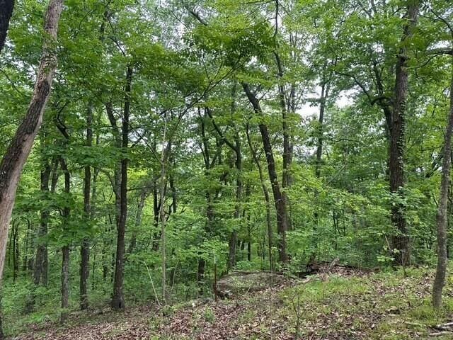 20 County Road 17, Woodville, AL 35776 - photo 8