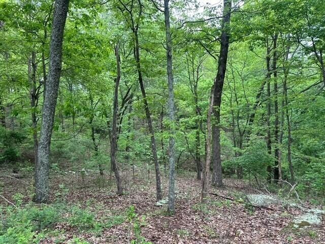 20 County Road 17, Woodville, AL 35776 - photo 7