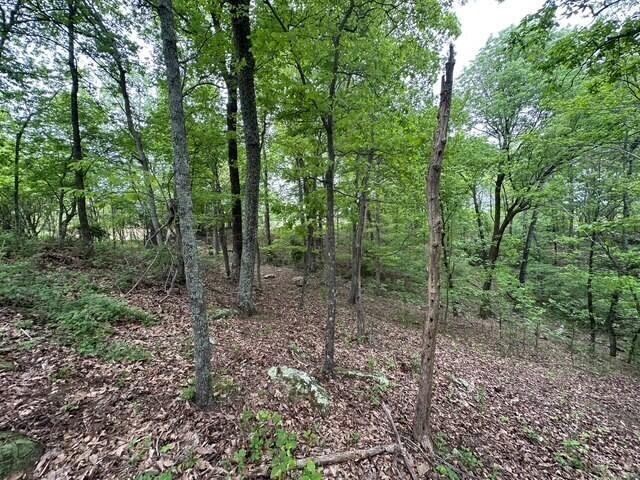 20 County Road 17, Woodville, AL 35776 - photo 12