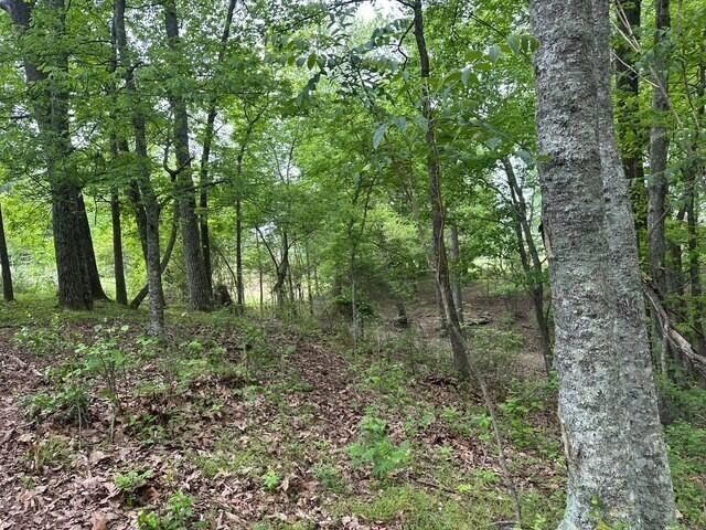 20 County Road 17, Woodville, AL 35776 - photo 10