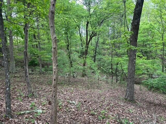 20 County Road 17, Woodville, AL 35776 - photo 11