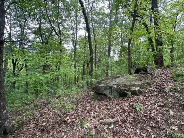 20 County Road 17, Woodville, AL 35776 - photo 16