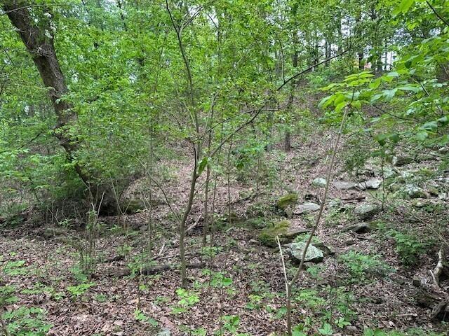 20 County Road 17, Woodville, AL 35776 - photo 26
