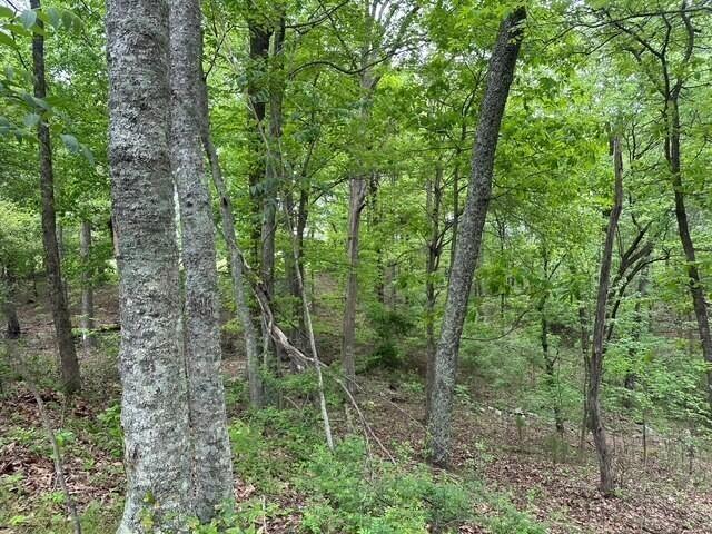 20 County Road 17, Woodville, AL 35776 - photo 9