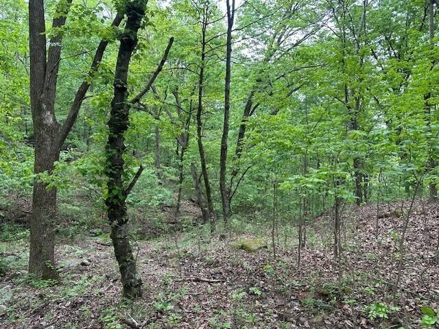 20 County Road 17, Woodville, AL 35776 - photo 23