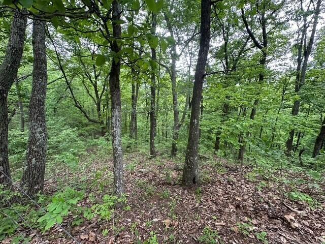 20 County Road 17, Woodville, AL 35776 - photo 15