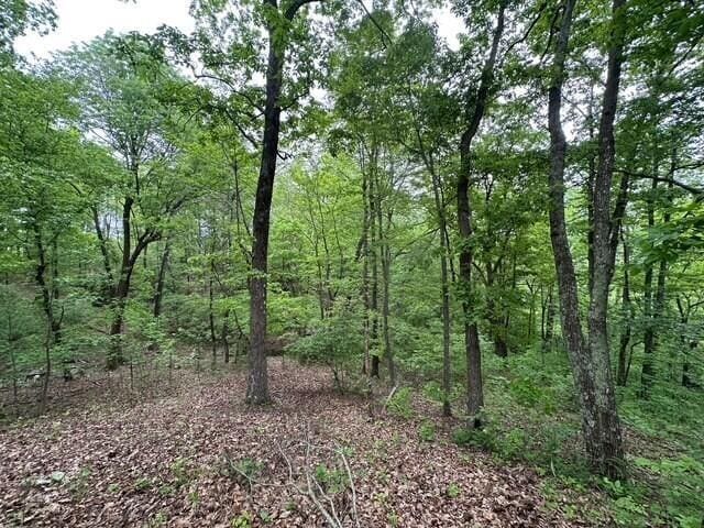 20 County Road 17, Woodville, AL 35776 - photo 13