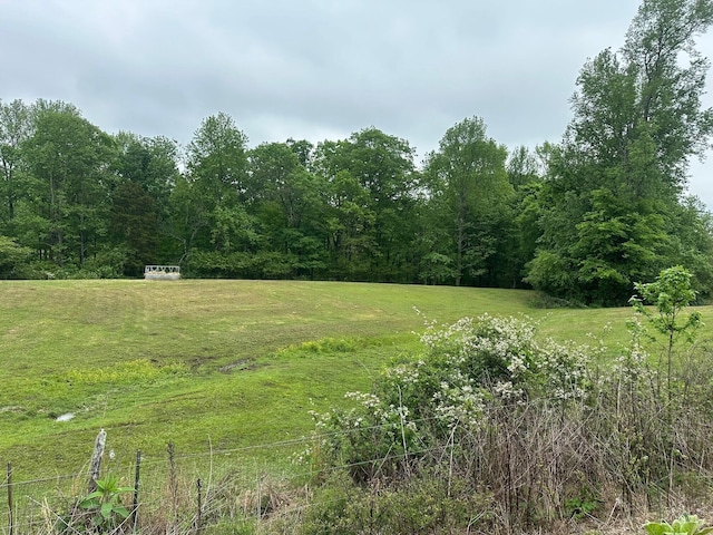 20 County Road 17, Woodville, AL 35776 - photo 1