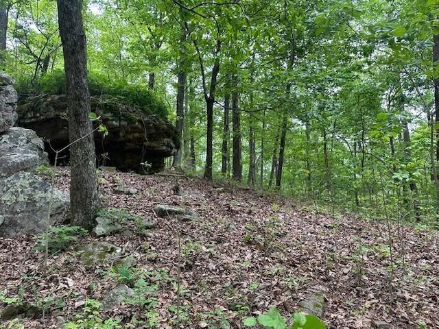 20 County Road 17, Woodville, AL 35776 - photo 25
