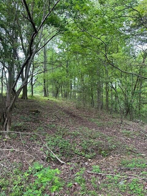 20 County Road 17, Woodville, AL 35776 - photo 20