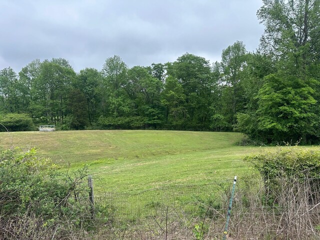 20 County Road 17, Woodville, AL 35776 - photo 3