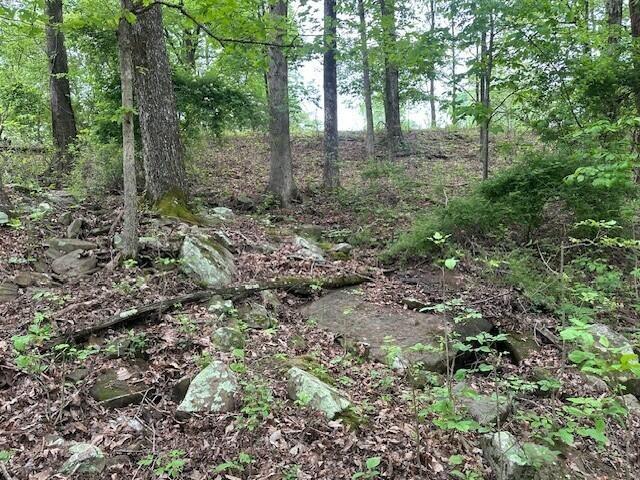 20 County Road 17, Woodville, AL 35776 - photo 24