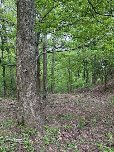 20 County Road 17, Woodville, AL 35776 - photo 19