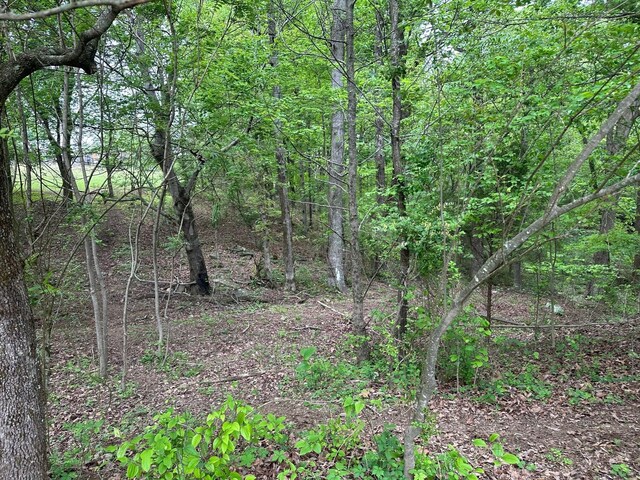 20 County Road 17, Woodville, AL 35776 - photo 18