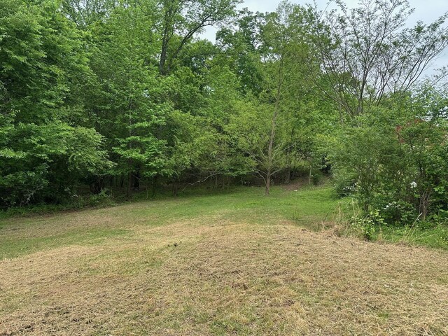 20 County Road 17, Woodville, AL 35776 - photo 6