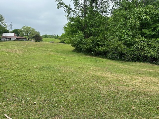 20 County Road 17, Woodville, AL 35776 - photo 5