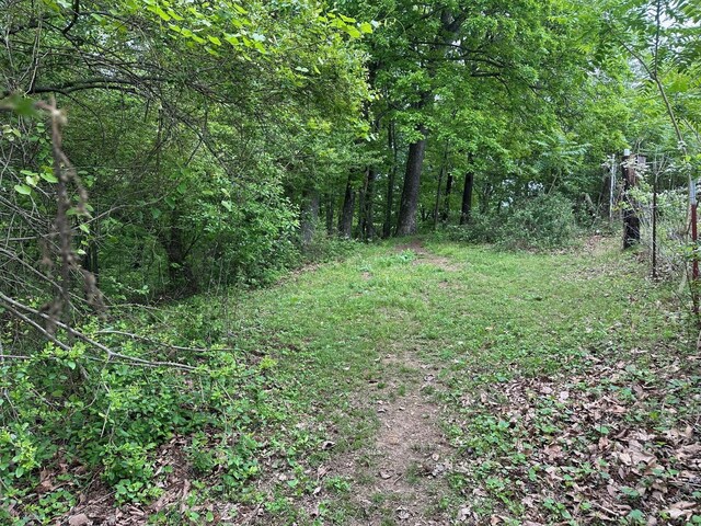 20 County Road 17, Woodville, AL 35776 - photo 17